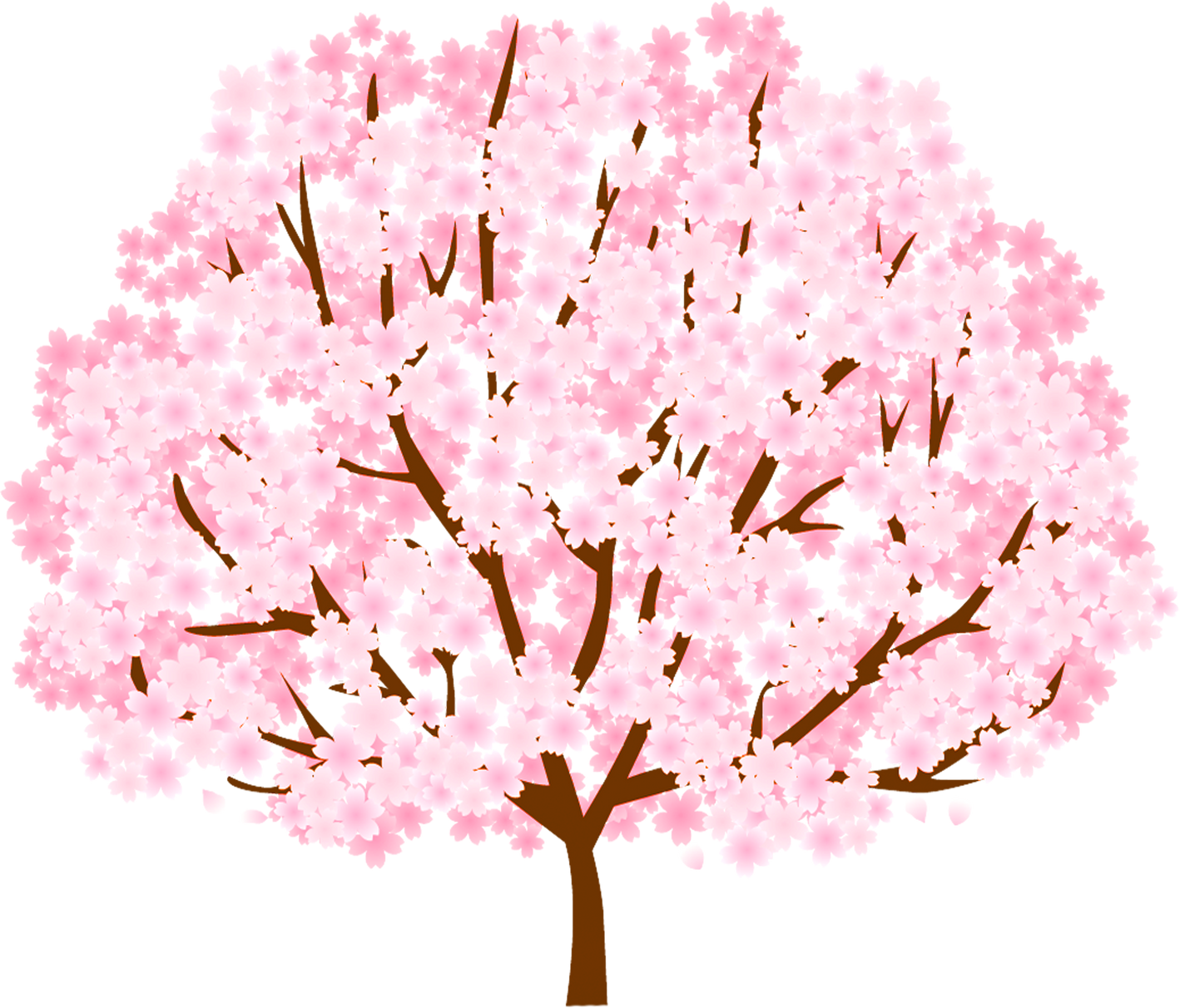 Flourishing Cherry Blossom Tree     